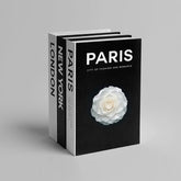 3 Pcs Decorative Faux Books Set for Home Decor (Paris/London/New York)